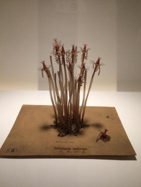 13876481_10206288668245097_7889223287331635252_n