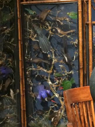 13903146_10206288664885013_1094259165677931195_n