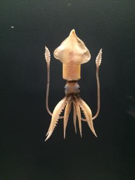 13920907_10206288668725109_6230612483039122727_n